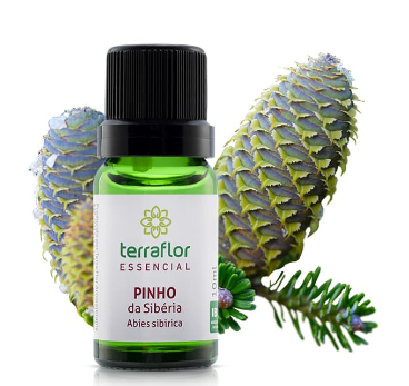 Óleo Essencial de Abeto Pinho da Sibéria 10ml – Empresa Terra Flor