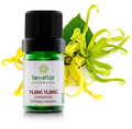 Óleo Essencial de Ylang Ylang Completo 5ml – Empresa Terra Flor