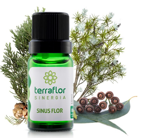 Sinergia Sinus Flor 10ml – Empresa Terra Flor