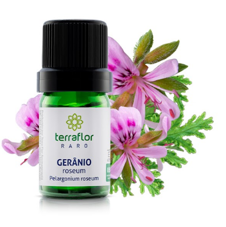 Óleo Essencial de Gerânio Roseum 5ml – Empresa Terra Flor