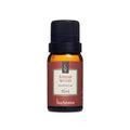 Essência Sintética Âmbar Wood 10ml - Via Aroma