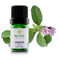 Óleo Essencial de Verbena Índia 5ml – Empresa Terra Flor