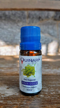 Óleo Essencial de Erva Doce 10ml – Empresa Quinari