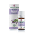 Óleo Essencial de Lavanda Francesa 10ml – Empresa Phytoterápica