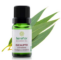 Óleo Essencial de Eucalipto Citriodora 10ml – Empresa Terra Flor
