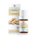 Óleo Essencial de Gengibre Seco 5ml – Empresa Phytoterápica