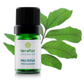 Óleo Essencial de Pau Rosa Orgânico 5ml – Empresa Terra Flor