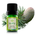 Óleo Essencial de Cedro do Himalaia 5ml – Empresa Terra Flor