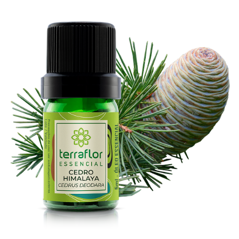 Óleo Essencial de Cedro do Himalaia 5ml – Empresa Terra Flor