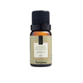 Essência Sintética Alecrim Silvestre 10ml - Via Aroma