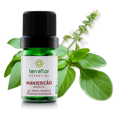 Óleo Essencial de Manjericão Exótico QT Metil Chavicol 5ml – Empresa Terra Flor