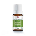 Óleo Essencial de Eucalipto Cidreira Staigeriana 10ml – Empresa Phytoterápica