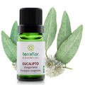 Óleo Essencial de Eucalipto Cidreira Staigeriana 10ml – Empresa Terra Flor