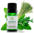 Sinergia Estudante 10ml – Empresa Terra Flor