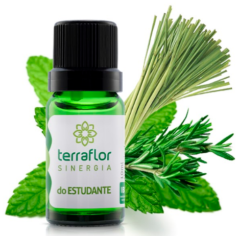Sinergia Estudante 10ml – Empresa Terra Flor